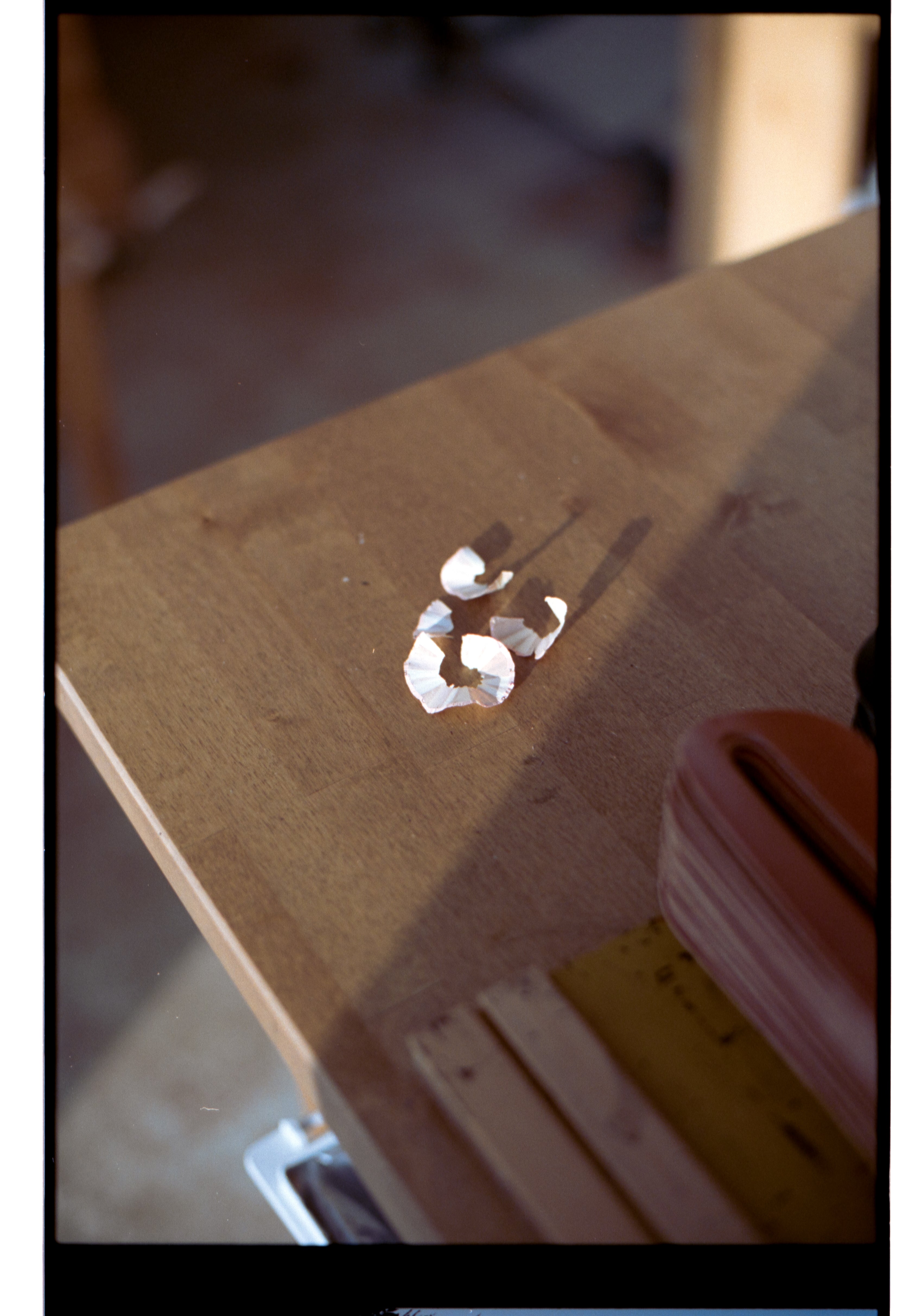 Photo Diary: #16