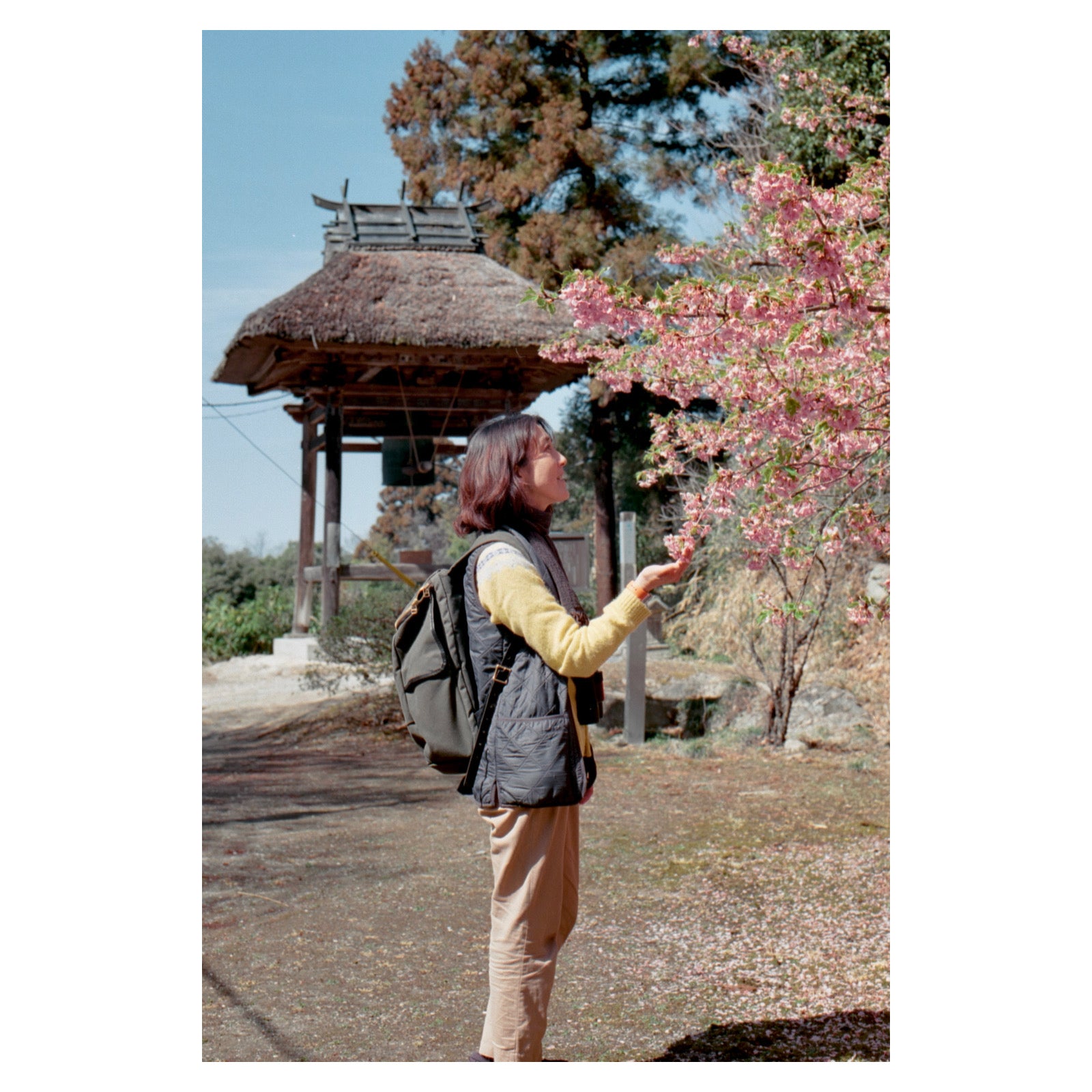 Photo Diary: #26